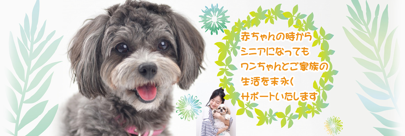 赤ちゃんの時からシニアになってもワンちゃんとご家族の生活を末永くサポートいたします