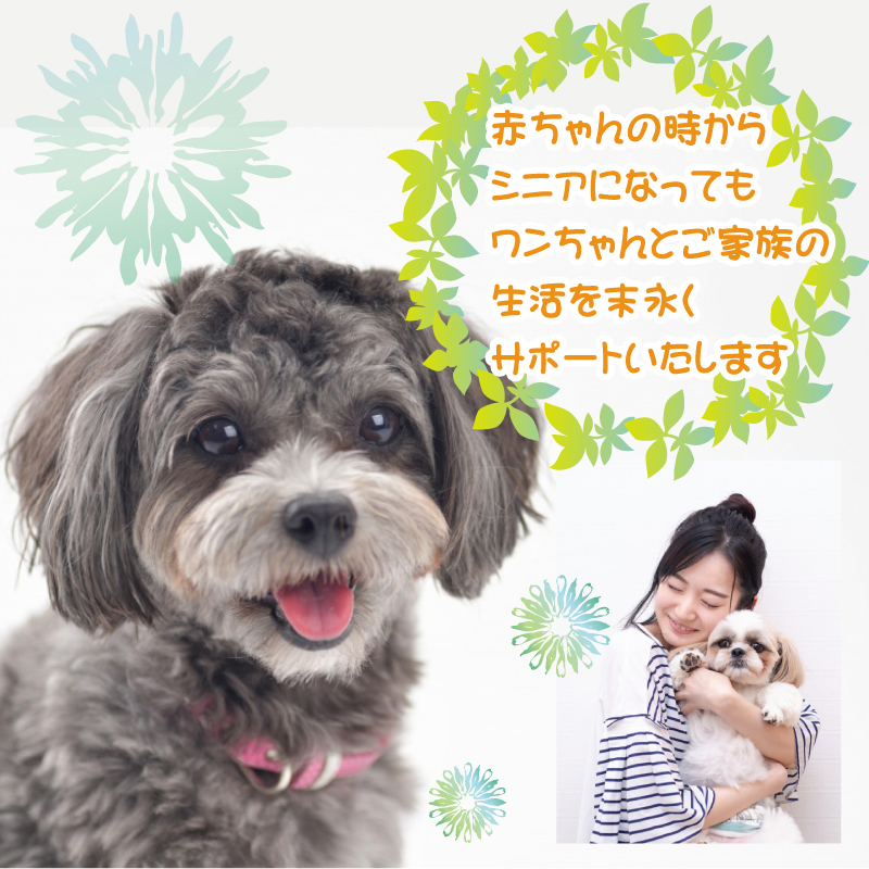 赤ちゃんの時からシニアになってもワンちゃんとご家族の生活を末永くサポートいたします